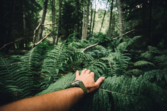 Close up of explorer male hand in green rainy forest.Survival travel,lifestyle concept.