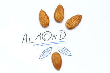 Almonds isolated. Group of almond nuts isolated on white background. Full depth of field