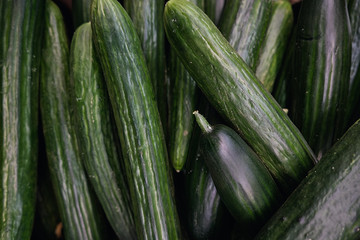 Dark green cucumbers in store
