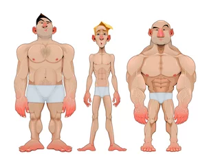  Drie soorten karikaturale mannelijke anatomie © ddraw