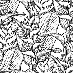 Graphic heliconia pattern