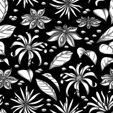 Graphic star anise