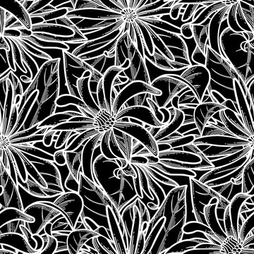 Graphic star anise