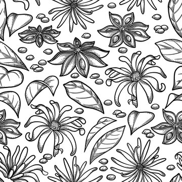 Graphic star anise