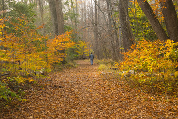 Man Hiking in Prince William Forest Park
