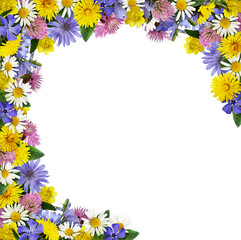 Wild flowers in a frame arrangement