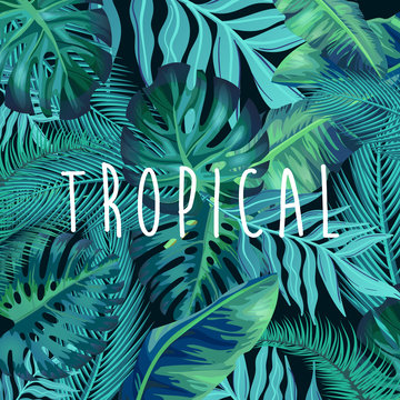 Tropical background with jungle plants. Exotic pattern with palm leaves.