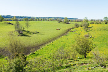 Rural view of the countryside in spring