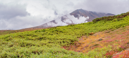北海道 大雪山 旭岳 紅葉