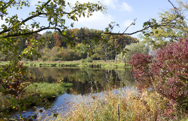 Fototapeta na wymiar Andechs / Germany: Pond landscape Seacht’n in Upper Bavaria