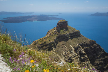 Greece Landscape on the island of Santorini with volcanic rock formation and spring flowers in the foreground.