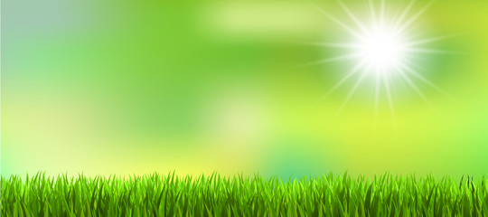 Obraz premium Gras Hinterland Sommer Frühling