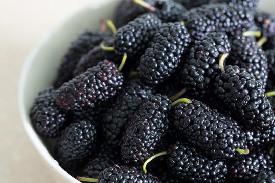 Closeup of fresh blackberries in a bowl. 