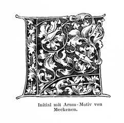 Iinitial with an arum motive by Israhel van Meckenem (from Meyers Lexikon, 1896, 13/794/795)