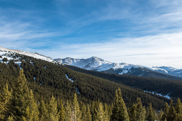The View 