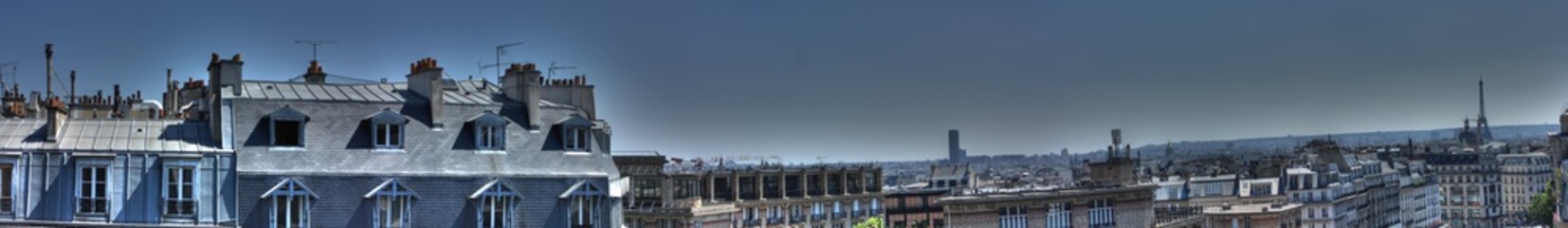 Fototapeta na wymiar Paris - Panorama