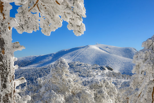 Snow in the mountains of Madrid (Spain)