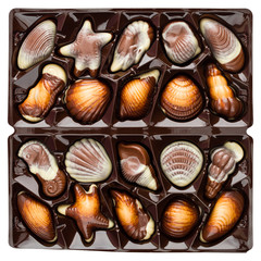 Assorted chocolate candies of sea-shells shapes in a box, close-up. Top view, flat lay