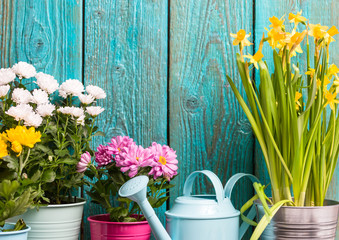 Picture of colorful flowers in pots near wooden fence © nuclear_lily