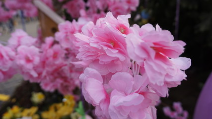 Easter Day in Moscow city