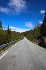 Fototapeta na wymiar Picturesque Norway road
