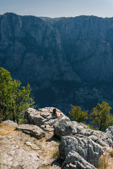 A girl on the peak of mountain opposite the gorge of Vikos in Greece. Vikos gorge in Greece in zagoria. Epirus