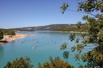 lavandes en Provence