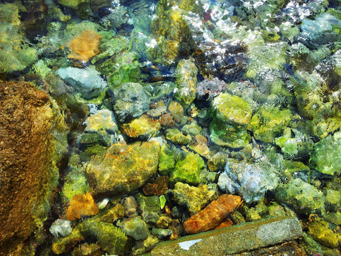 Piedras de colores en agua transparente