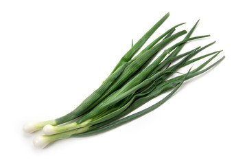Fototapeta premium 葉たまねぎ