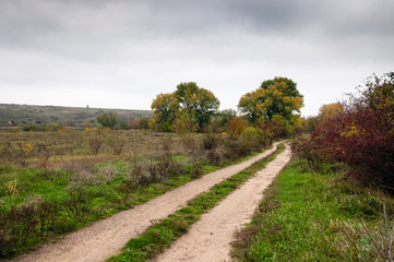 Fototapeta na wymiar Autumn landscape with a road.