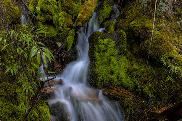 Patagonian stream