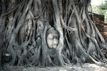 Ayutthaya Buddha Head statue with trapped in Bodhi Tree roots at Wat Maha That (Ayutthaya). Phra Nakhon Si Ayutthaya province. Historical park Thailand. Artistic picture. UNESCO