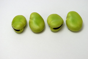 美味しいそら豆（ソラマメ）白背景　コピースペースあり