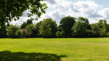 green lawn with trees in background