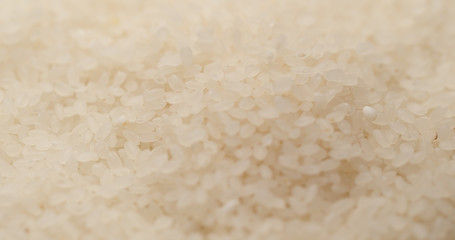 Fresh uncooked rice