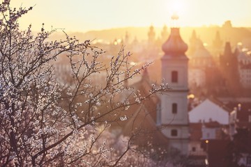 Naklejka premium Spring sunrise in Prague
