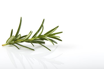 Rosemary isolated on white