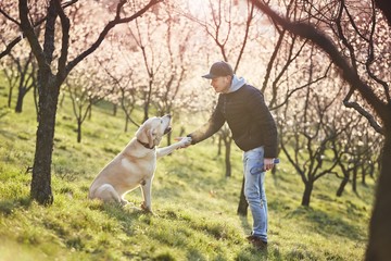 Man with dog in spring nature