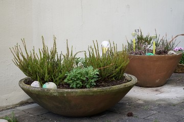 Blumenk&uuml;bel Shabby