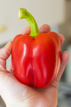 Parika in a hand