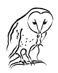 Barn awl predator caught a mouse hunt