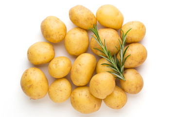 New potato and rosemarin isolated on white background close up.