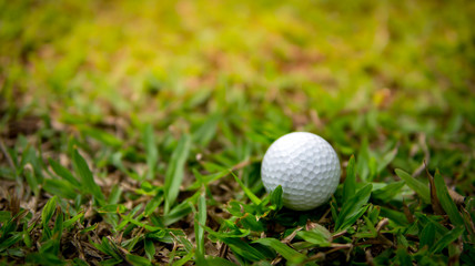 Soft golf ball on grass in golf course on sunset.