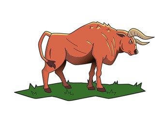 Angry bull. Buffalo on green grass. Vector illustration, isolated on white background.