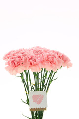 Happy Mother's Day, carnations representing mothers are in full bloom, and pink carnations are sent.