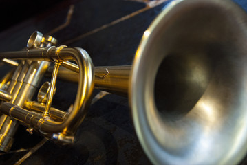 Fototapeta na wymiar The sound of a trumpet