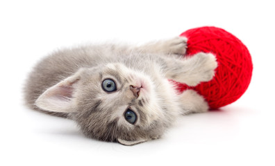 Fototapeta na wymiar Kitten with ball of yarn.