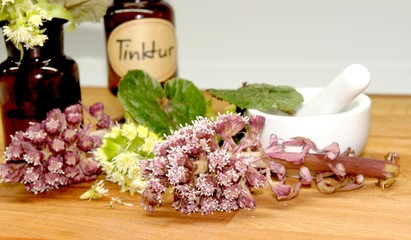 Pestwurz, Tinktur, Migräne Heilmittel,
