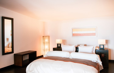 Warm cozy contemporary style bedroom with bed and good design couch