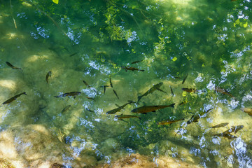 Krka national park, Croatia